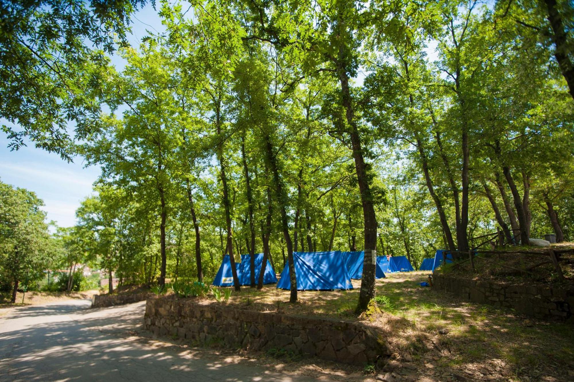 Hu Firenze Certosa Camping In Town อิมปรูเนตา ภายนอก รูปภาพ